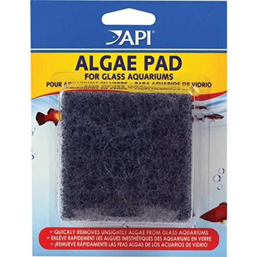 API Algae Pad for Glass Aquariums at Sea Cave Inc.
