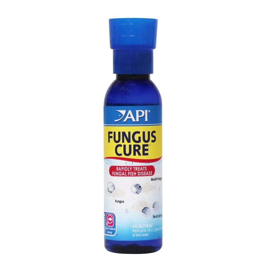 API Fungus Cure (4 oz) at Sea Cave Inc.