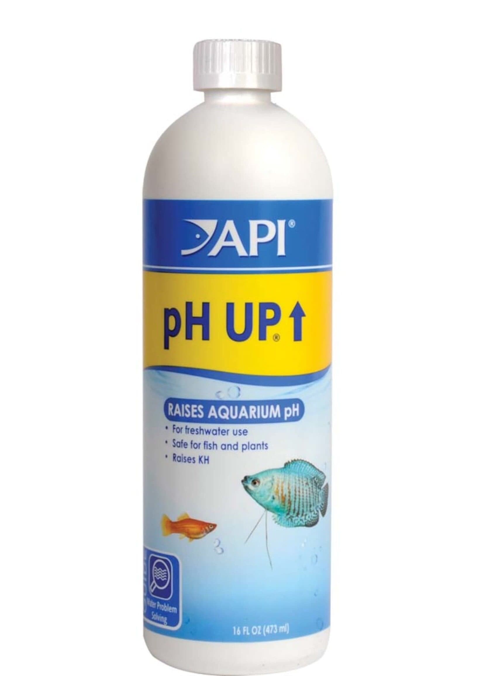 API pH Up (16 oz) at Sea Cave Inc.