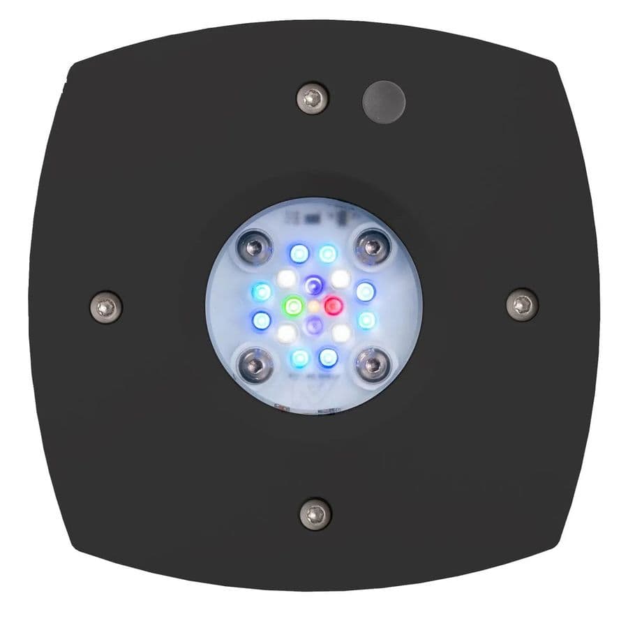 AI Prime 16HD Reef LED Aquarium Light at Sea Cave Inc.