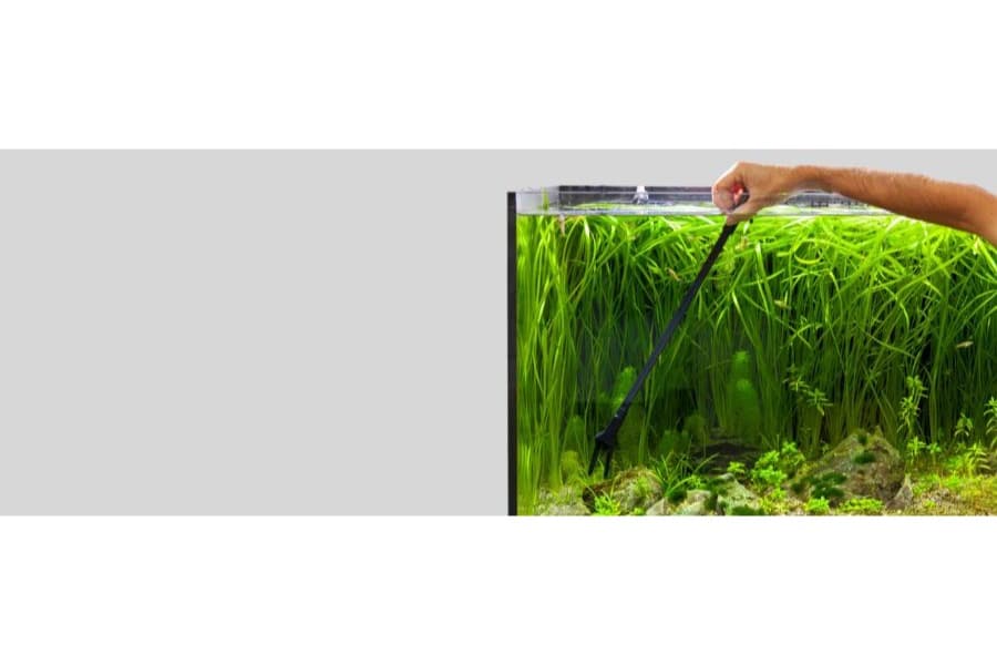 Aquatlantis Tongs/Tweezers 27" at Sea Cave Inc.
