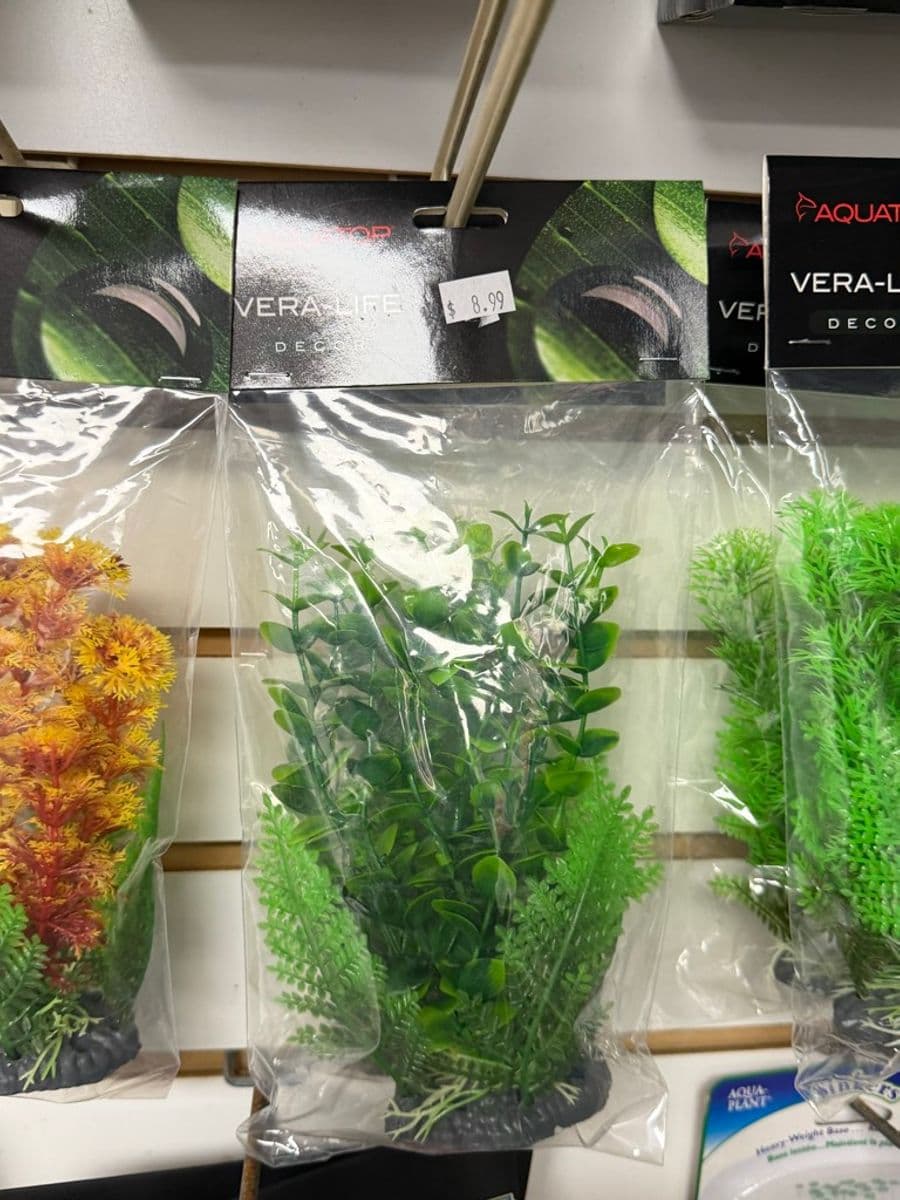 Aquatop Vera-Life artificial aquarium plant decor at Sea Cave Inc.