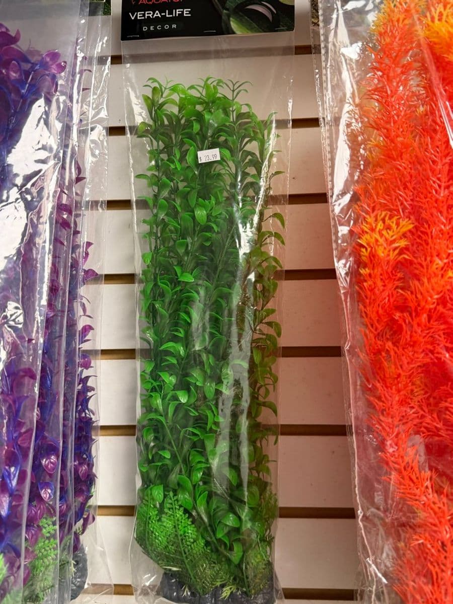 Aquatop Vera-Life Artificial Plant Large (Green) at Sea Cave Inc.