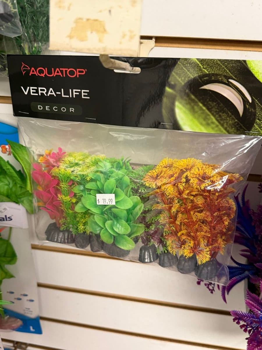 Aquatop Vera-Life Decor artificial aquarium plant multi-pack at Sea Cave Inc.