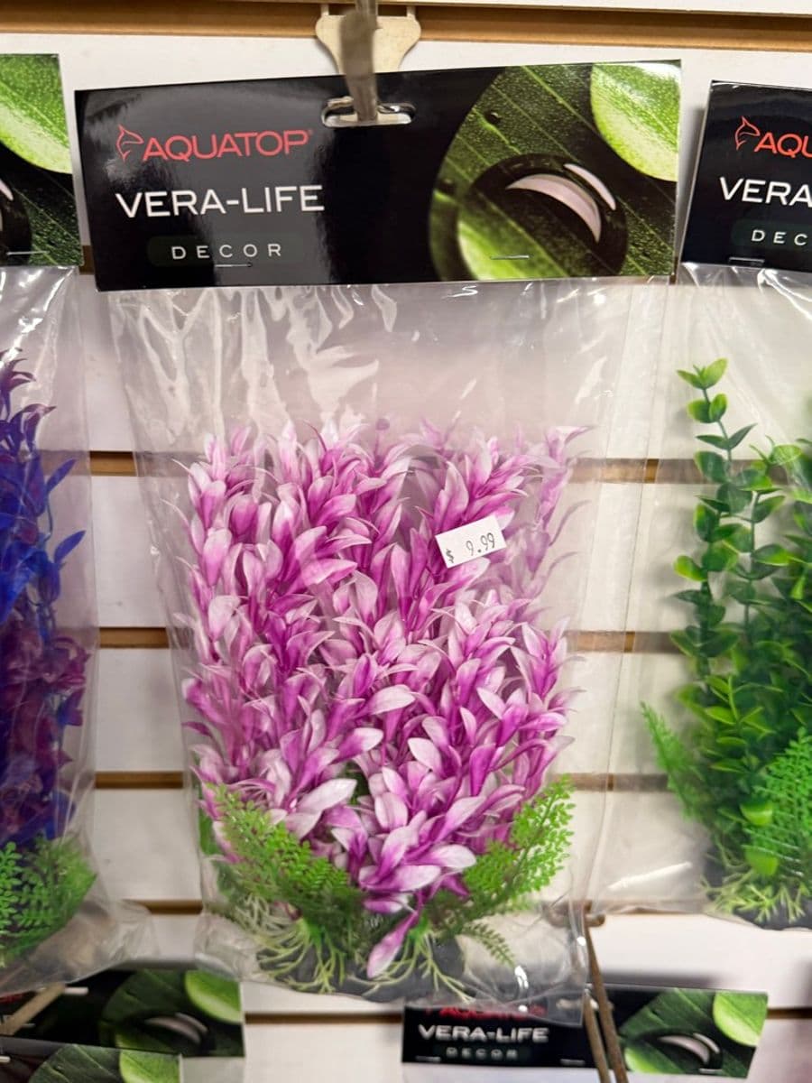 Aquatop Vera-Life Decor artificial aquarium plant (purple) at Sea Cave Inc.