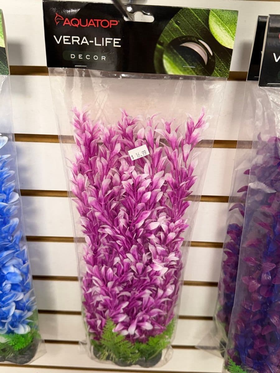 Aquatop Vera-Life Decor artificial aquarium plant (purple/white, large) at Sea Cave Inc.