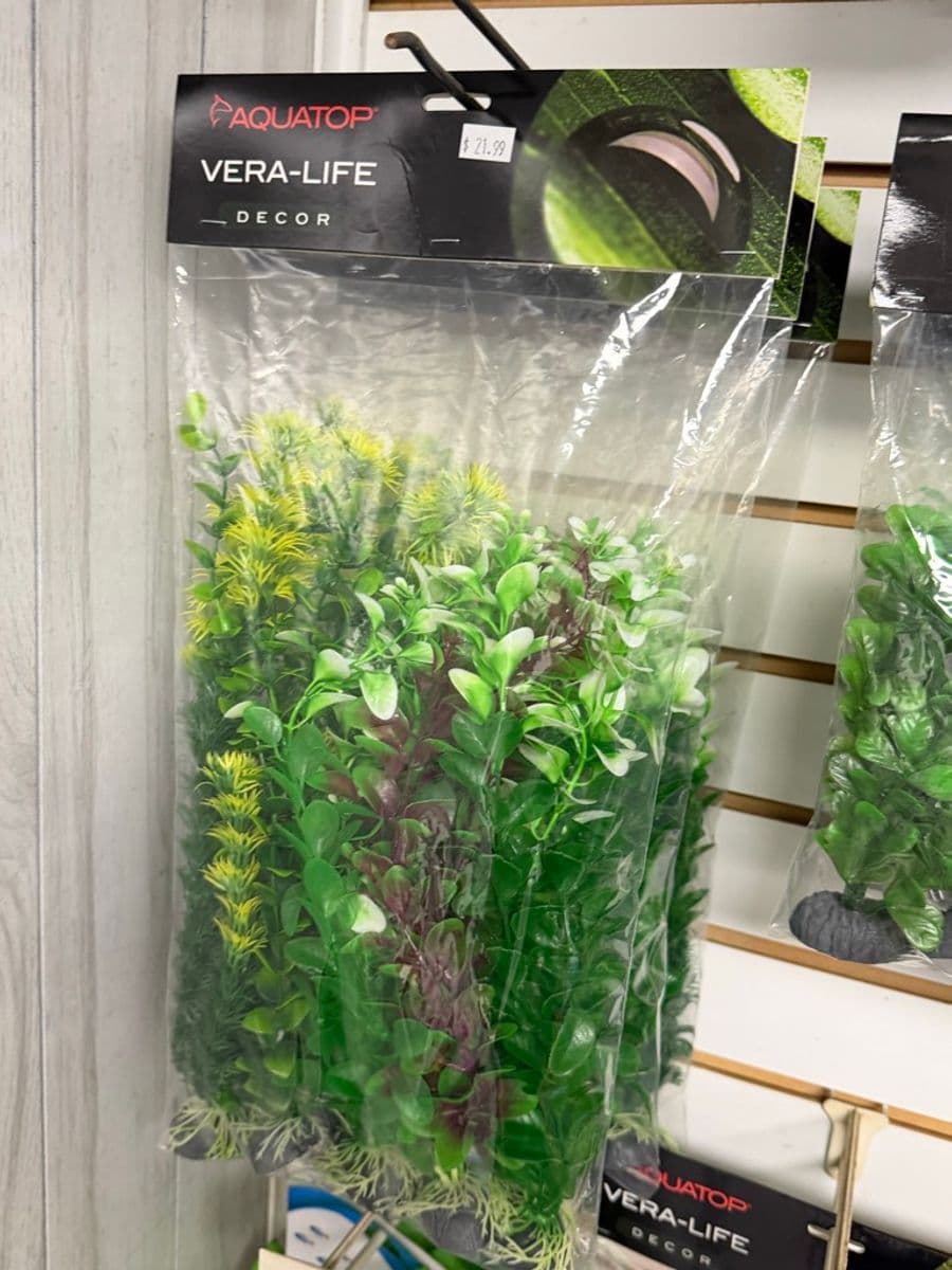 Aquatop Vera-Life Decor artificial aquarium plant set at Sea Cave Inc.