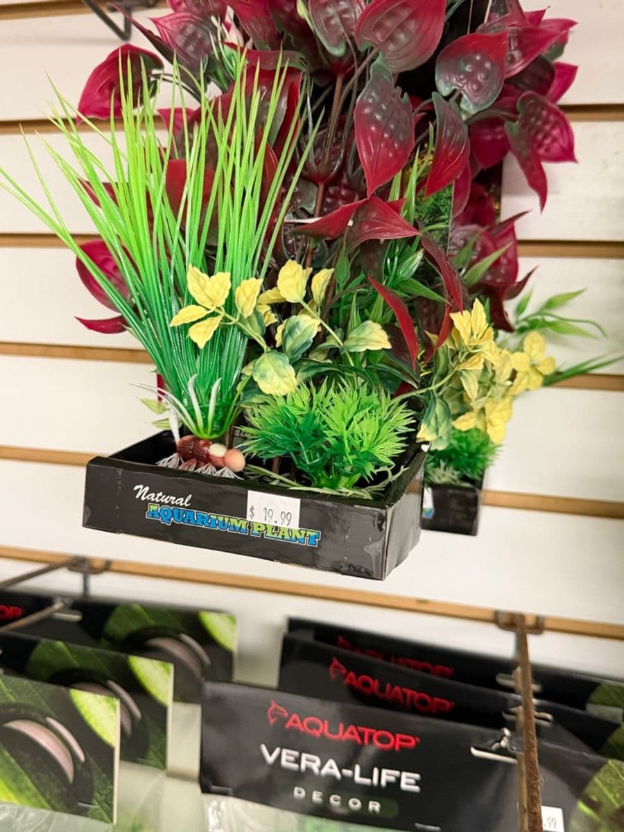 Artificial Aquarium Plant Multipack Set at Sea Cave Inc.