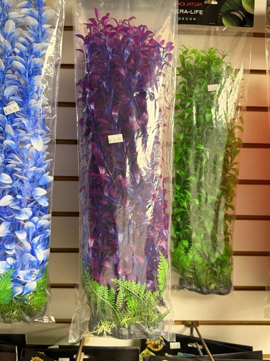 Aquatop Vera-Life Artificial Plant Large at Sea Cave Inc.