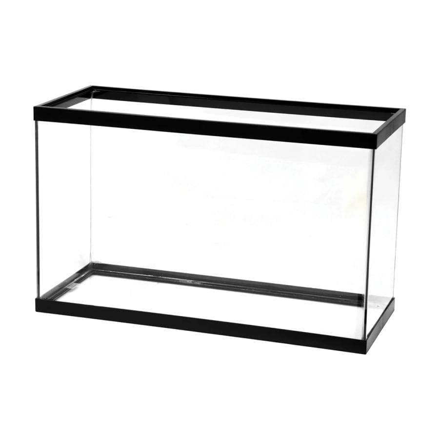 Aqueon 29 Gallon Glass Aquarium with Stand at Sea Cave Inc.