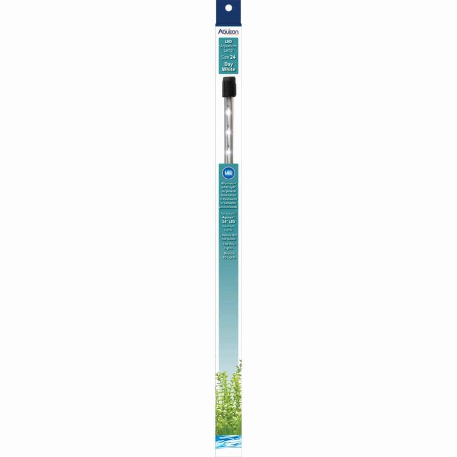 Aqueon LED Lamp Size 24 Day White (24") at Sea Cave Inc.
