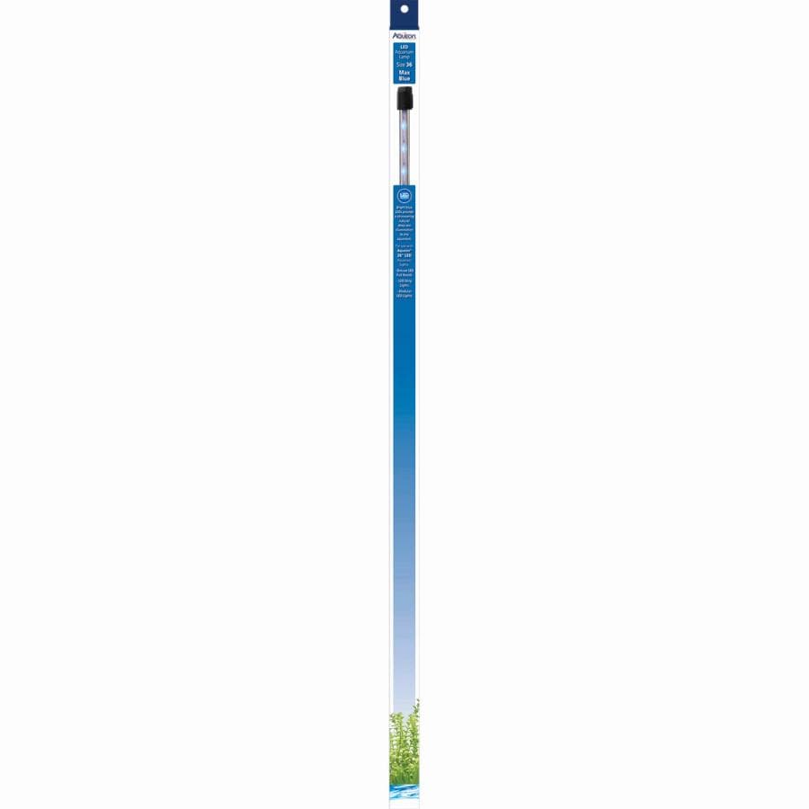 Aqueon LED Lamp Size 36 Max Blue (36") at Sea Cave Inc.