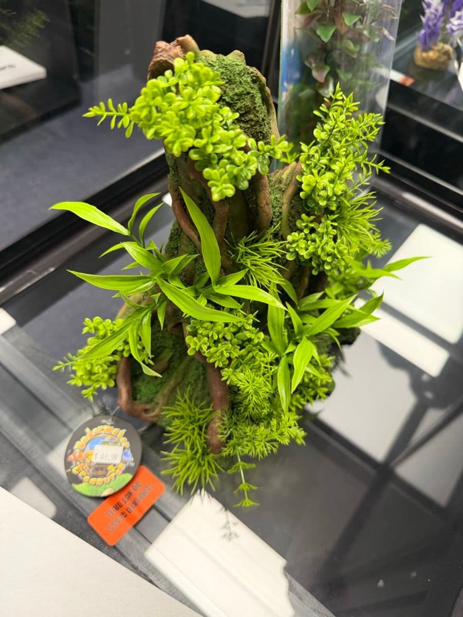 Artificial Driftwood Ornament with Plants at Sea Cave Inc.