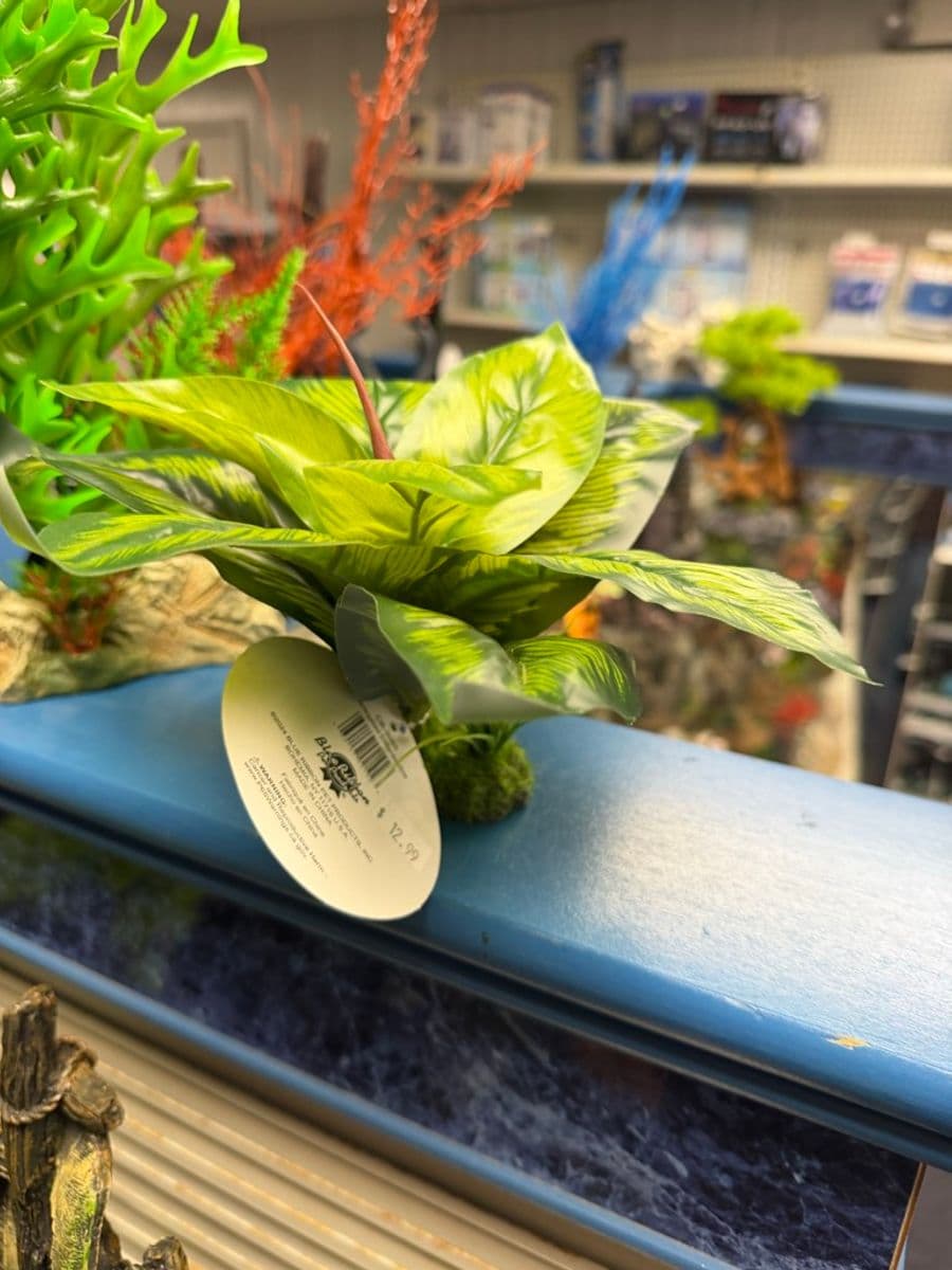 Blue Ribbon Artificial Plant (Moss-Ball Base) at Sea Cave Inc.
