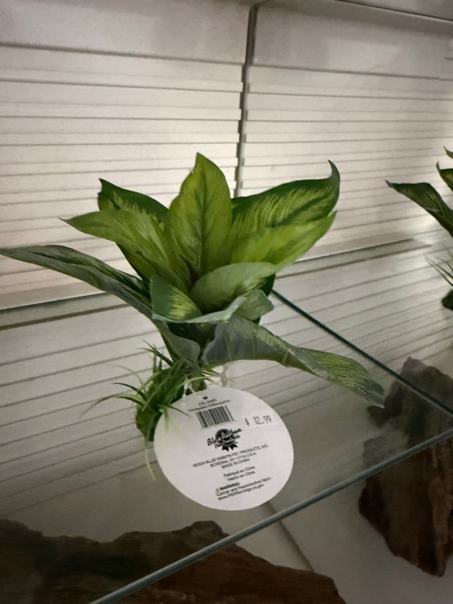Blue Ribbon Artificial Broadleaf Plant at Sea Cave Inc.
