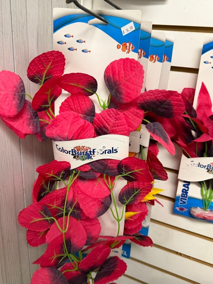 ColorBurst Florals Silk Plant Large Red Broadleaf at Sea Cave Inc.