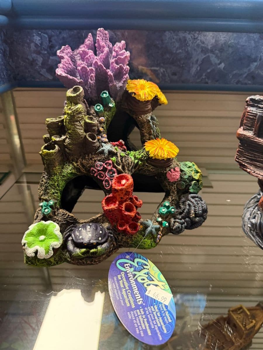 Exotic Environments Coral Reef Resin Ornament at Sea Cave Inc.