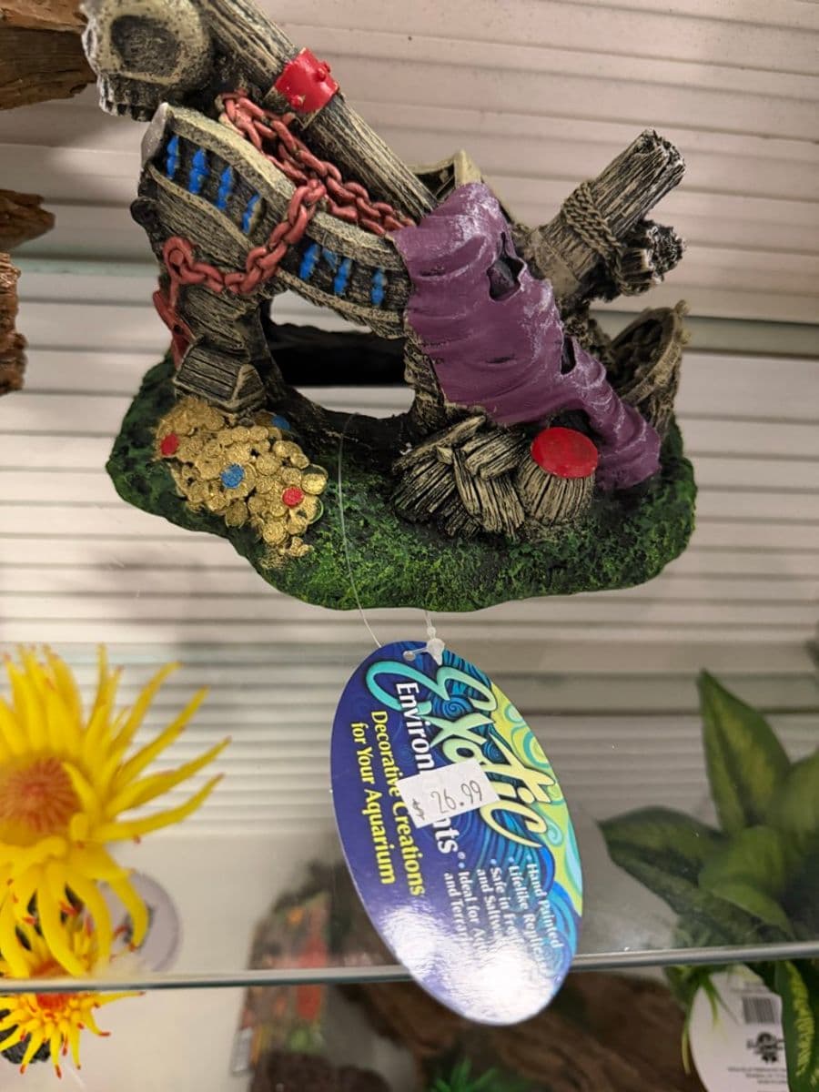 Exotic Environments Shipwreck Treasure Ornament at Sea Cave Inc.