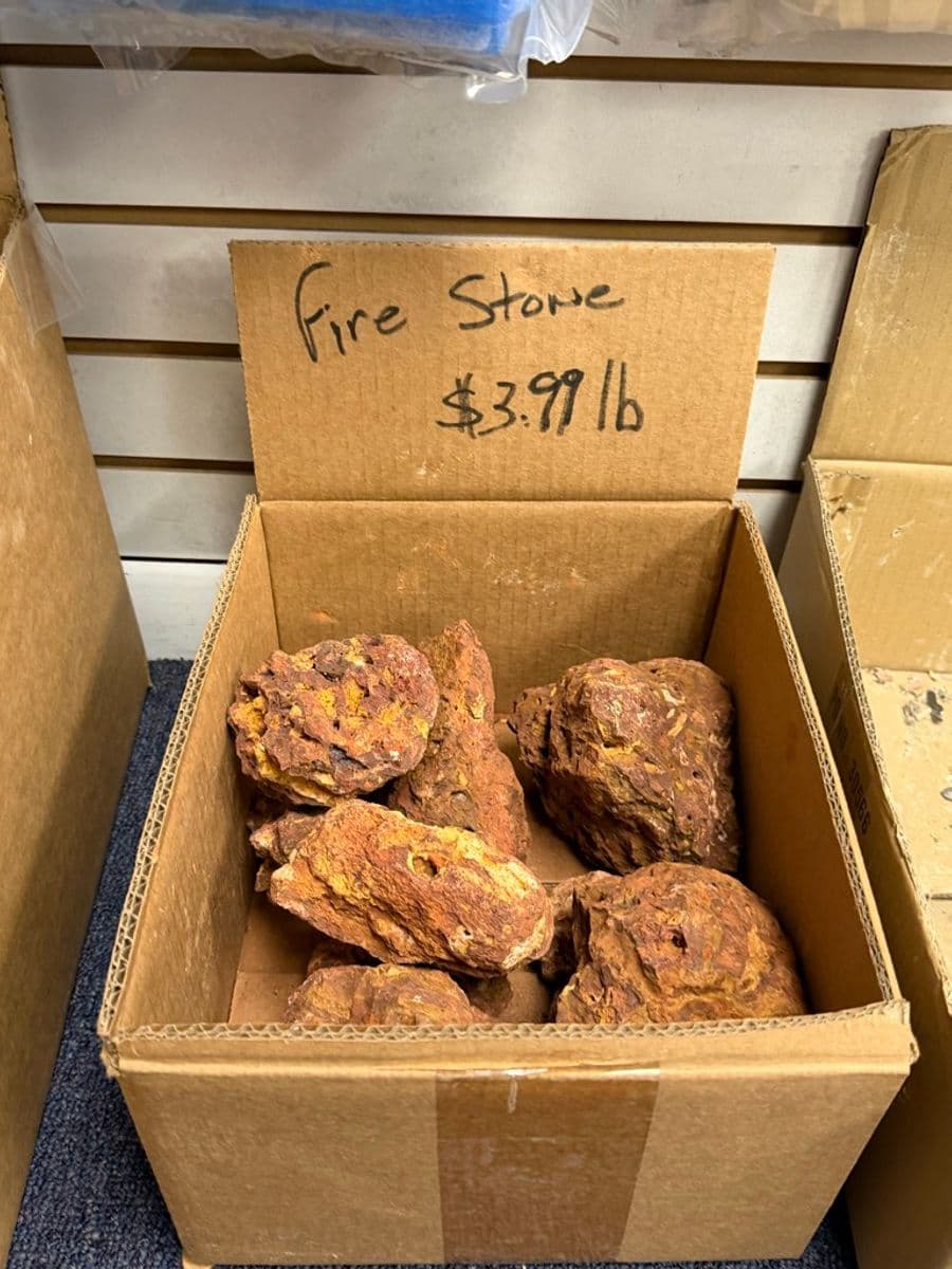 Fire Stone Decorative Rock (by the pound) at Sea Cave Inc.