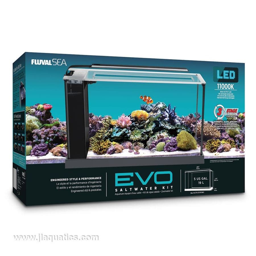 Fluval Sea EVO Saltwater Kit (5 gal) at Sea Cave Inc.