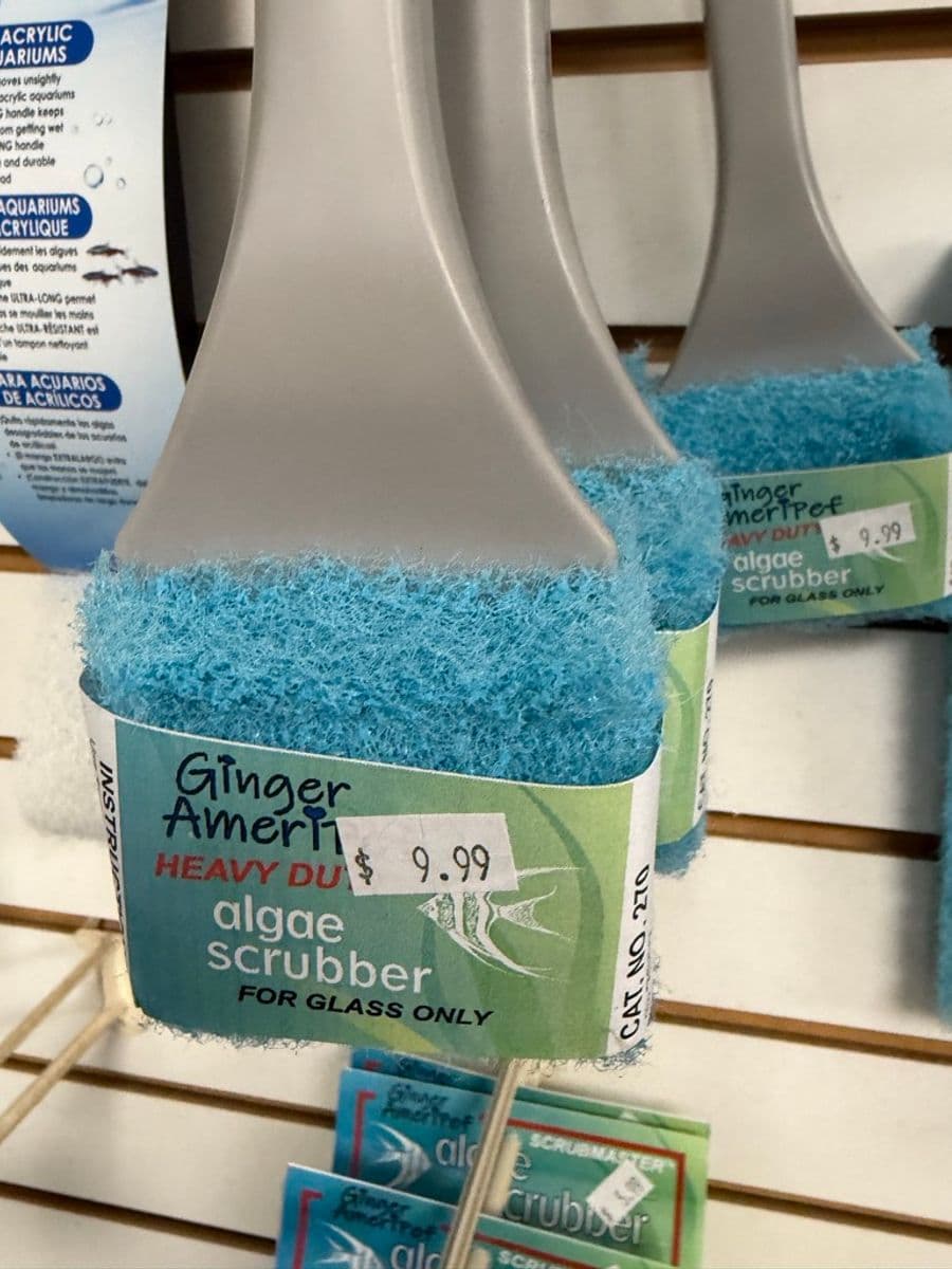 Ginger Americpet Heavy Duty Algae Scrubber for Glass (Cat. No. 270) at Sea Cave Inc.