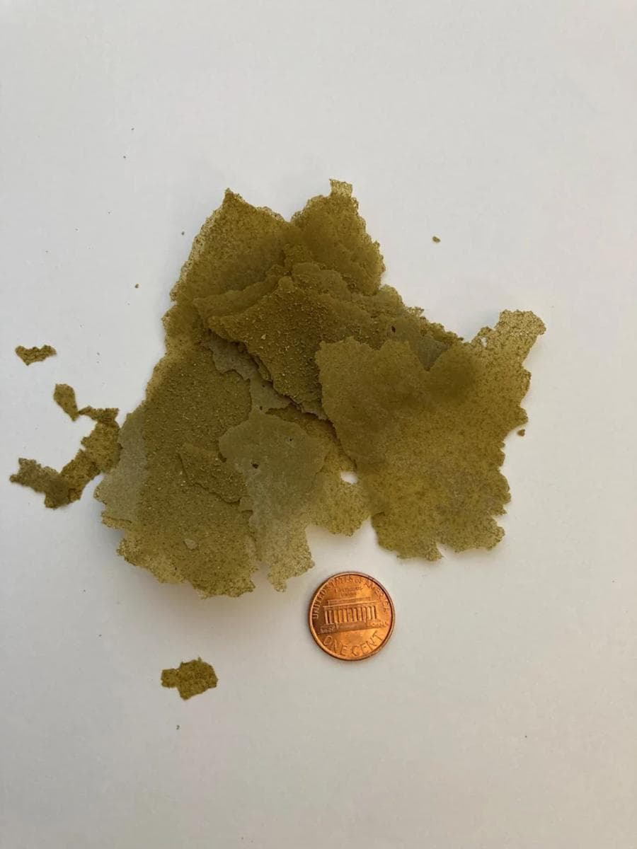 Ginger AmeriPet Spirulina Flake Food (4.5 oz) at Sea Cave Inc.