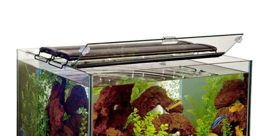 Glass Canopy Set 33018 at Sea Cave Inc.