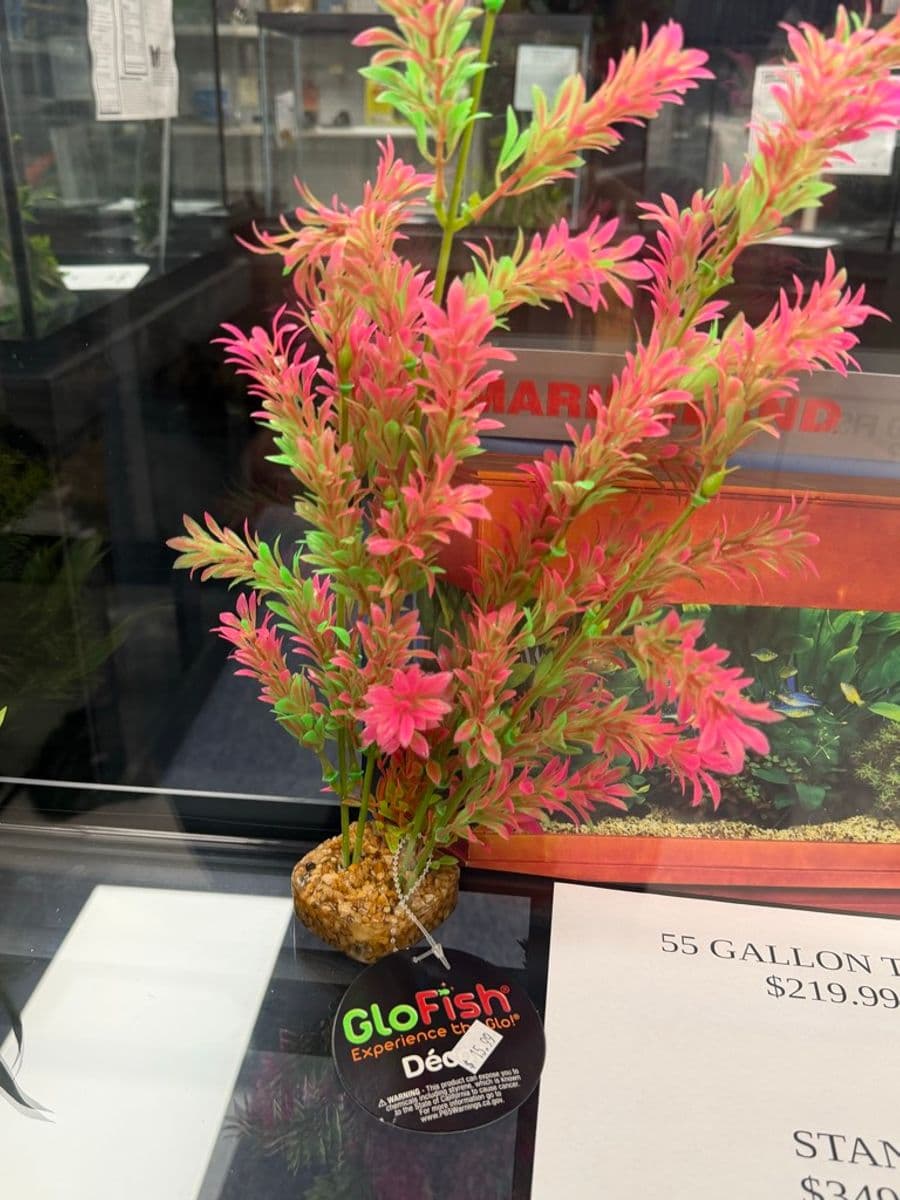 GloFish Décor artificial aquarium plant (pink/green, gravel base) at Sea Cave Inc.