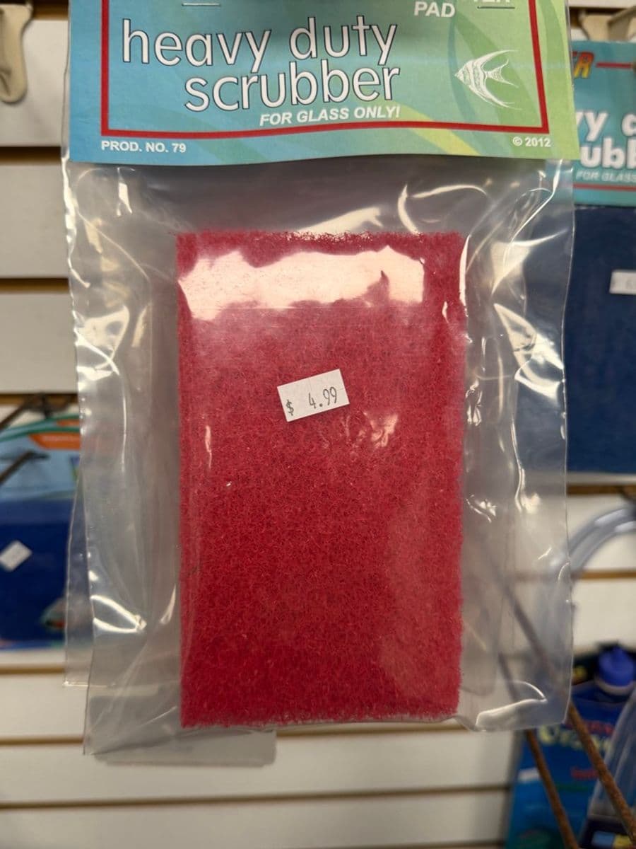 Heavy Duty Scrubber Pad for Glass at Sea Cave Inc.