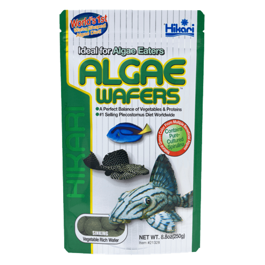 Hikari Algae Wafers at Sea Cave Inc.