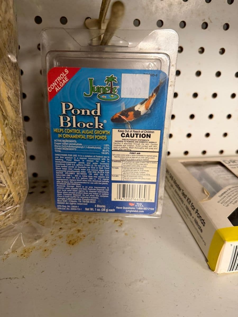Jungle Pond Block Algae Control (4-pk) at Sea Cave Inc.