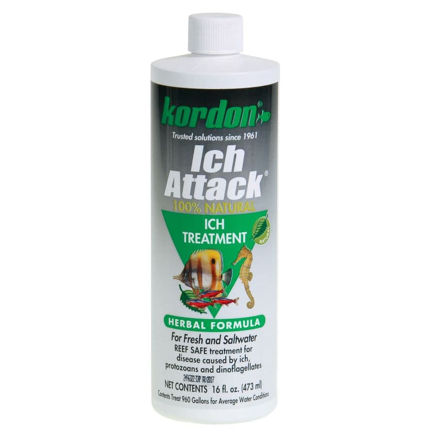 Kordon Ich Attack Natural Treatment at Sea Cave Inc.