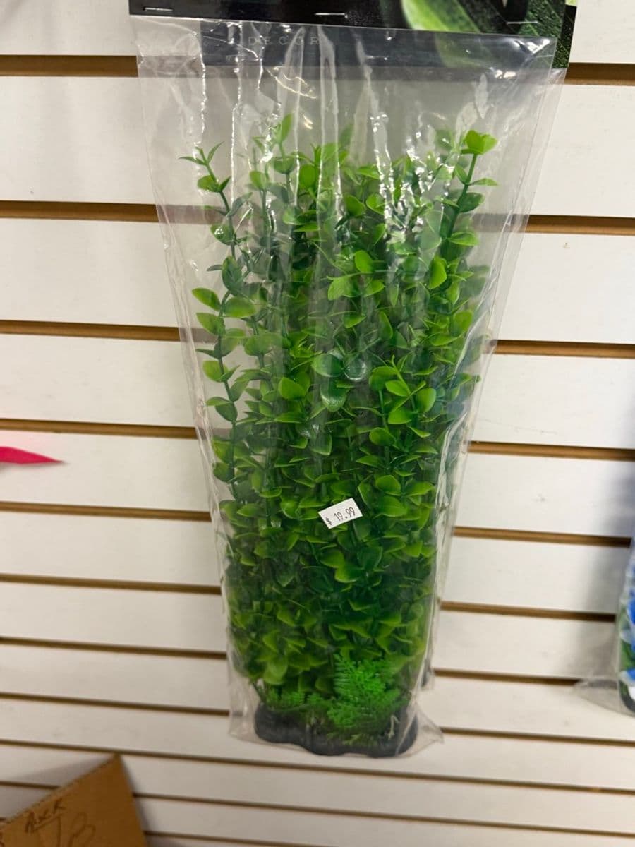 Artificial Aquarium Plant 12–16" Green at Sea Cave Inc.