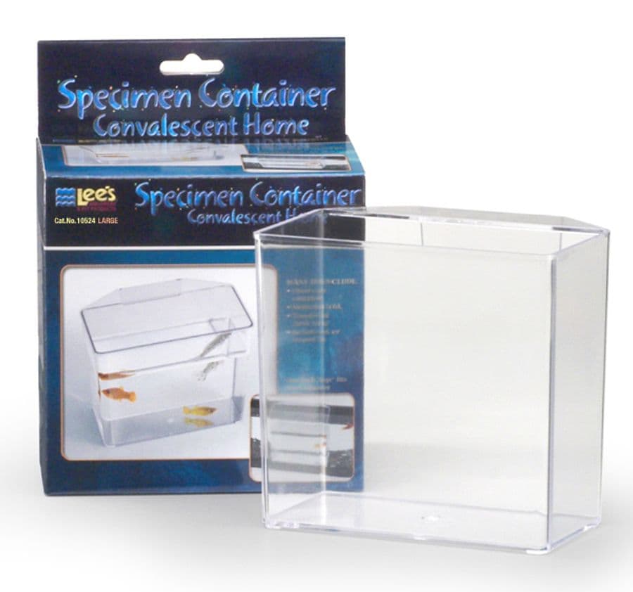 Lee's Specimen Container Large at Sea Cave Inc.