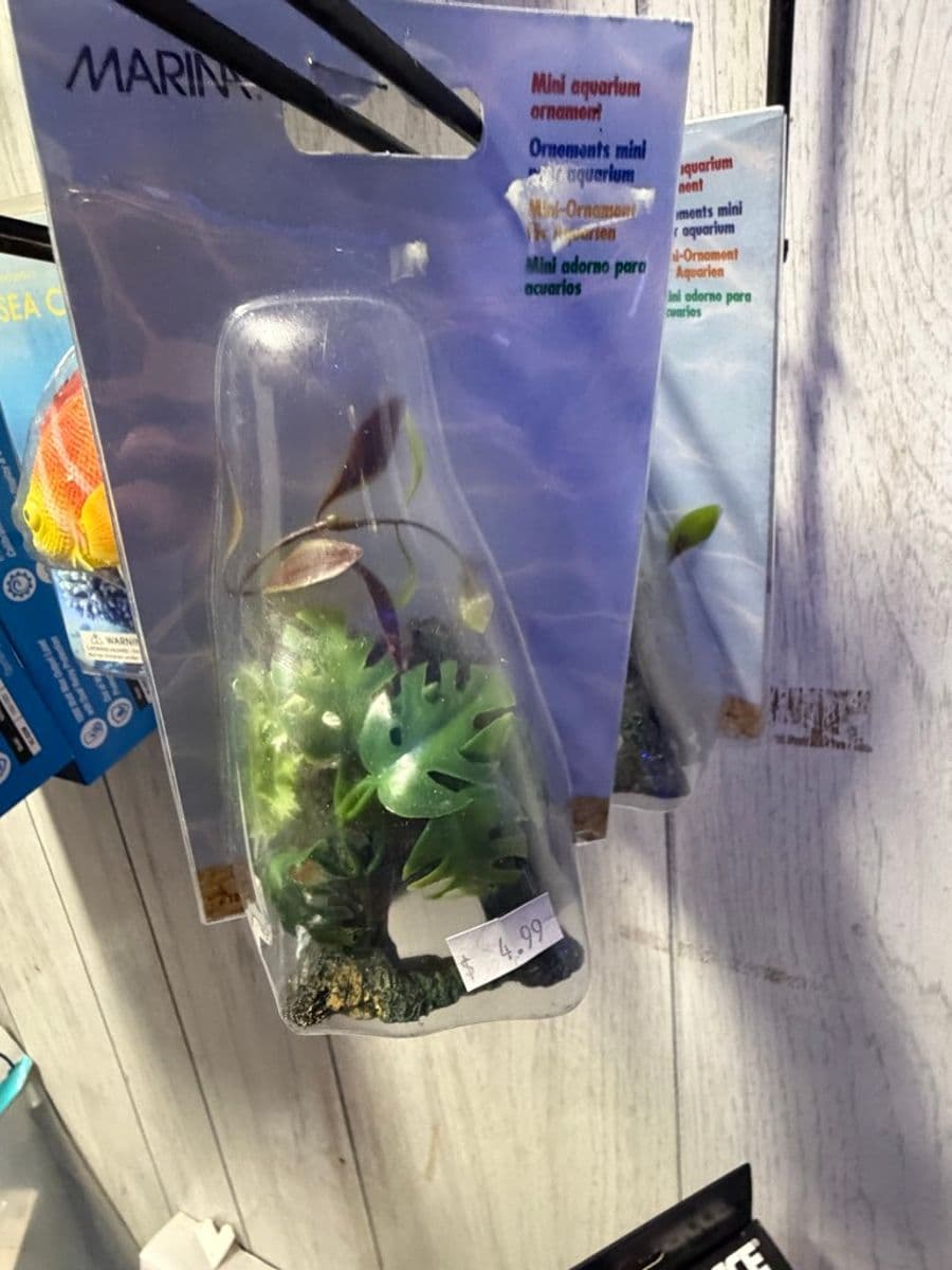 Marina Mini Artificial Plant Ornament at Sea Cave Inc.