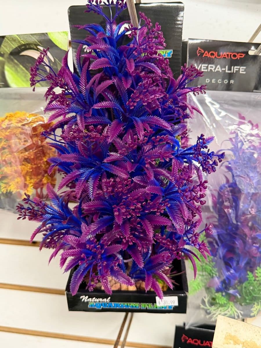 Natural Aquarium Plant Artificial Purple/Blue at Sea Cave Inc.