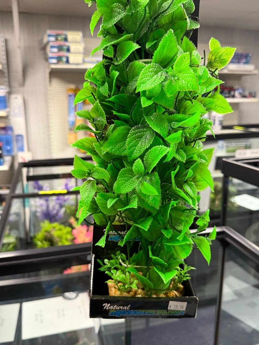 Natural Aquarium Plant – large artificial/plastic aquarium plant decoration at Sea Cave Inc.