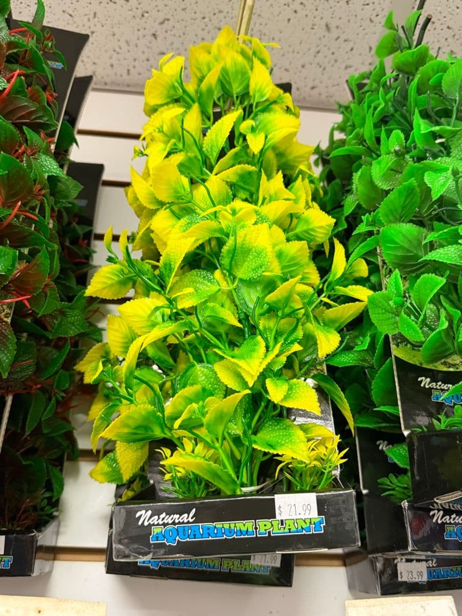Natural Aquarium Plant – large artificial plastic aquarium plant (yellow-green coloration) at Sea Cave Inc.