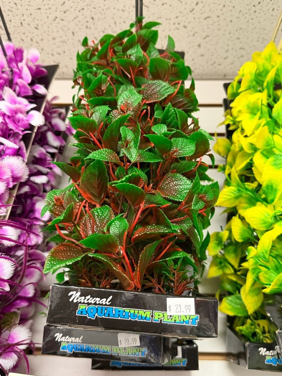 Natural Aquarium Plant – large artificial/silk aquarium plant decoration (green with red stems) at Sea Cave Inc.