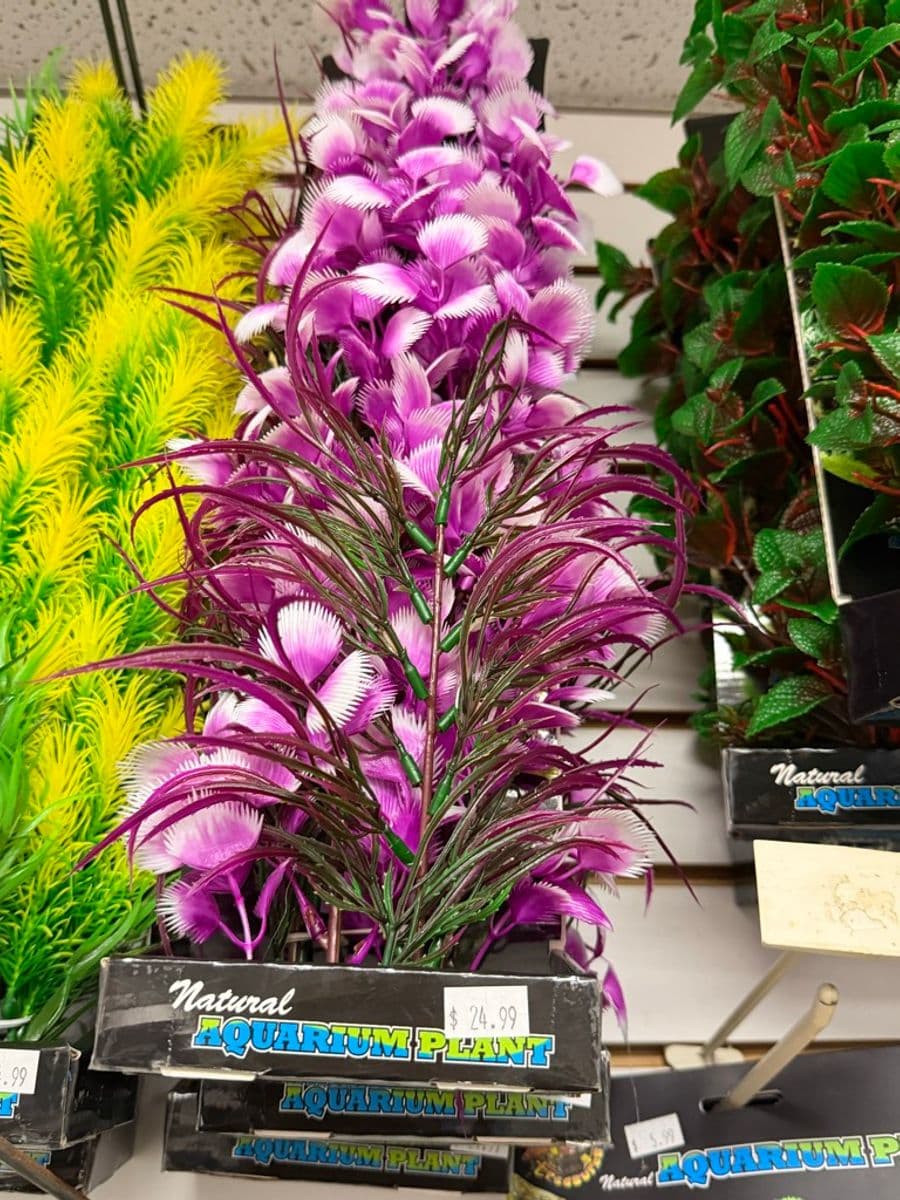 Natural Aquarium Plant – large purple/violet silk/plastic artificial aquarium plant decoration at Sea Cave Inc.