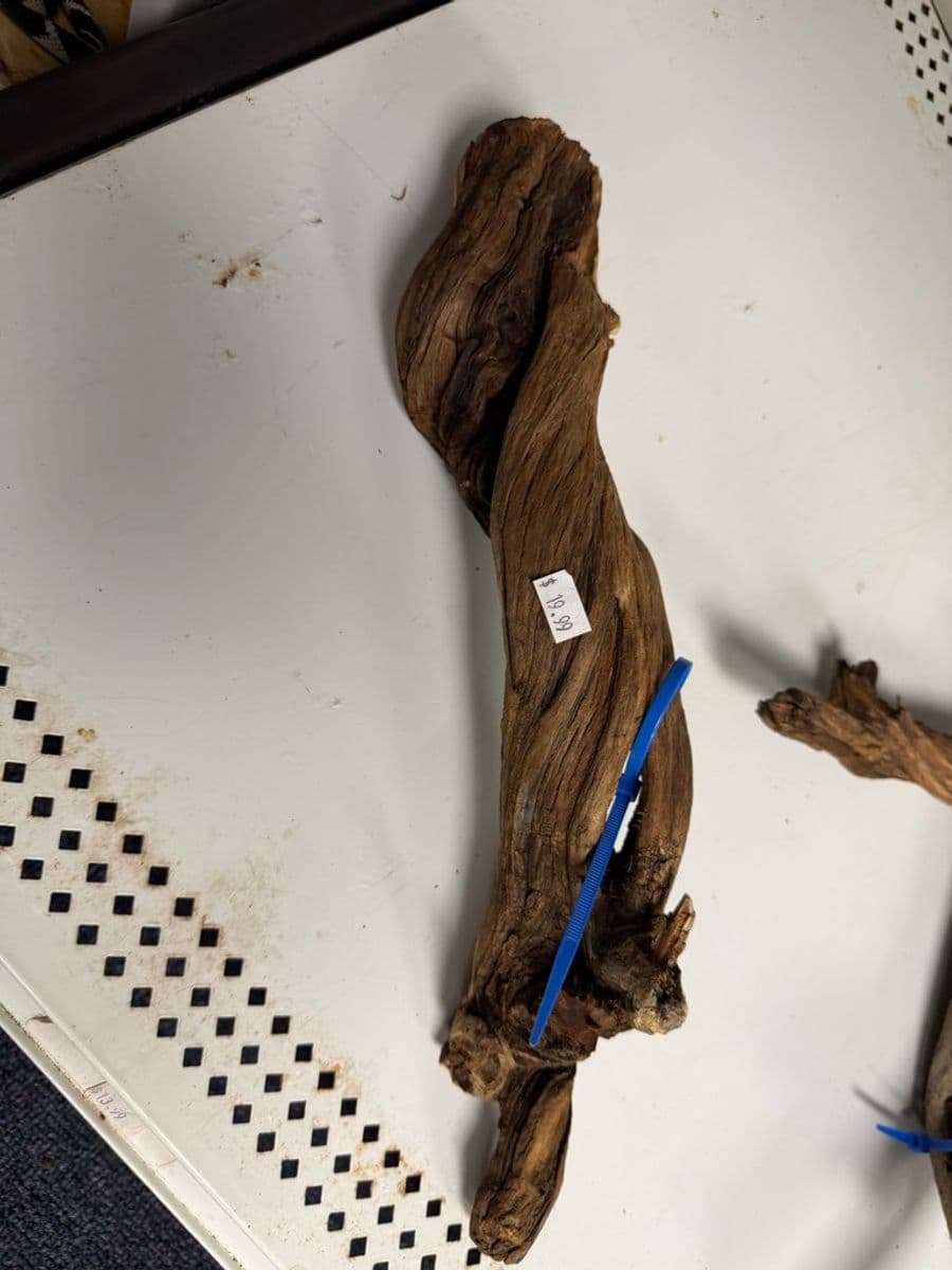 Natural driftwood aquarium decor piece at Sea Cave Inc.