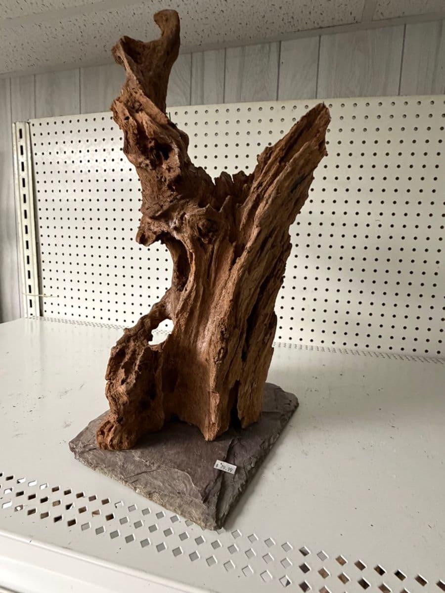 Natural Driftwood on Slate Base at Sea Cave Inc.
