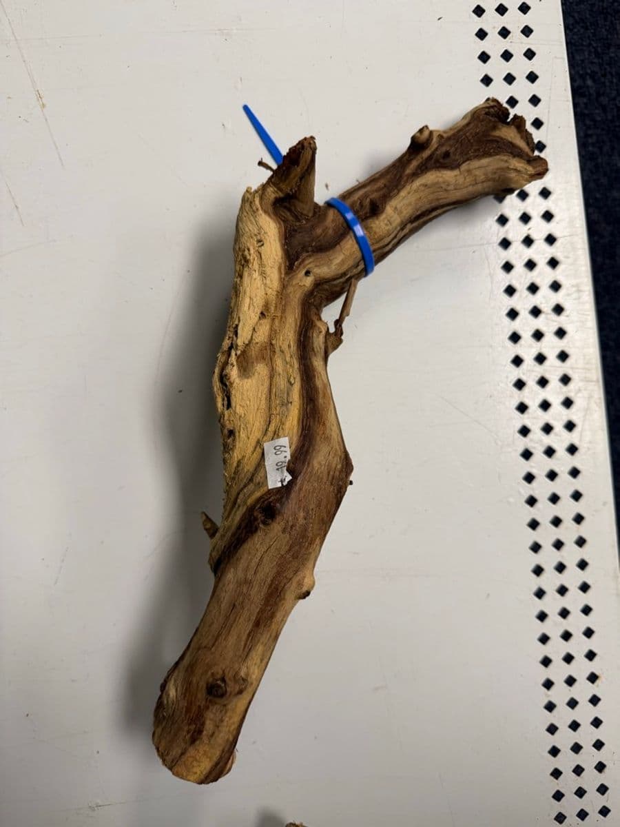 Natural Driftwood Decoration at Sea Cave Inc.