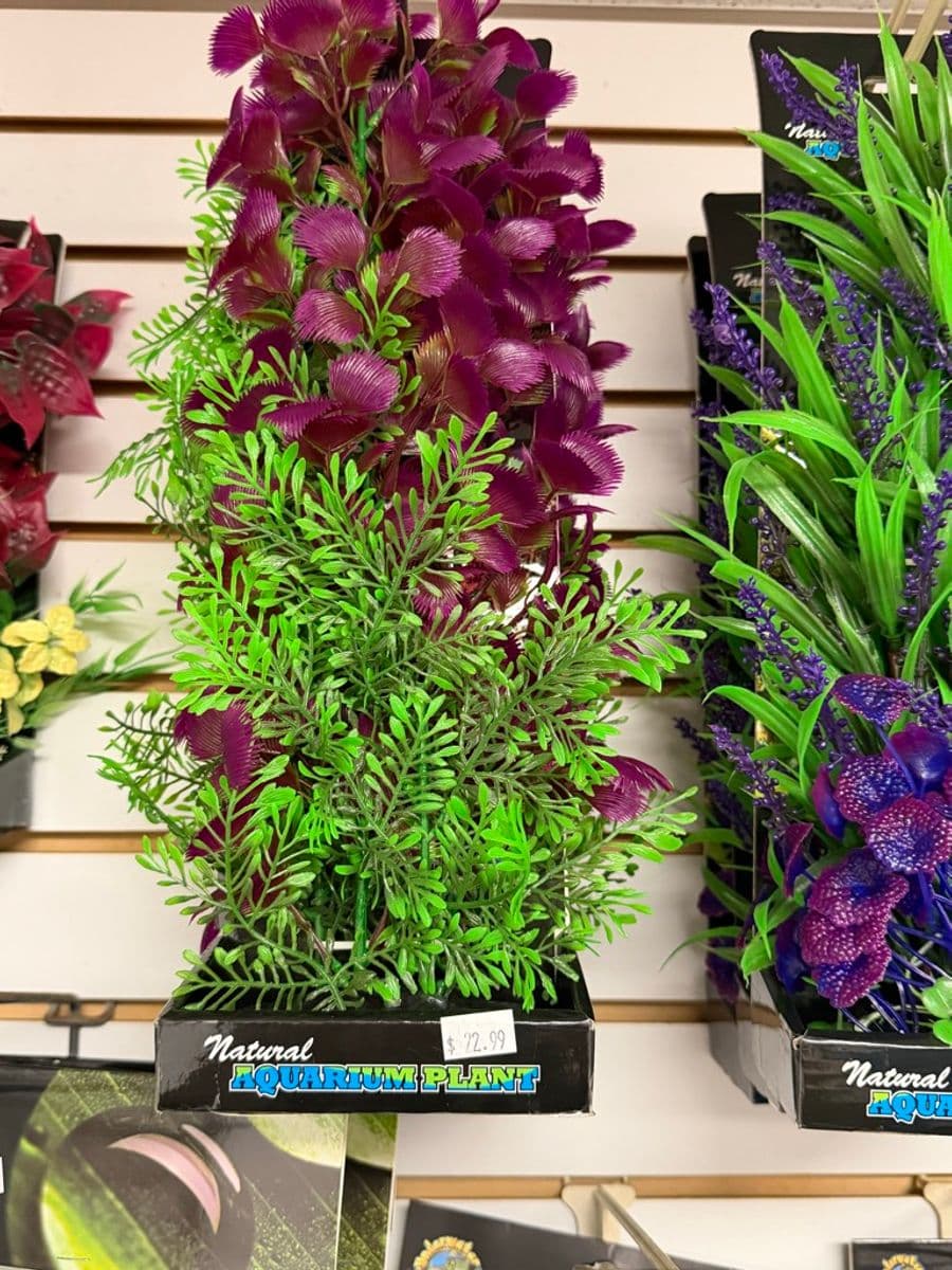 Natural-Look Large Artificial Aquarium Plant — Green & Purple at Sea Cave Inc.