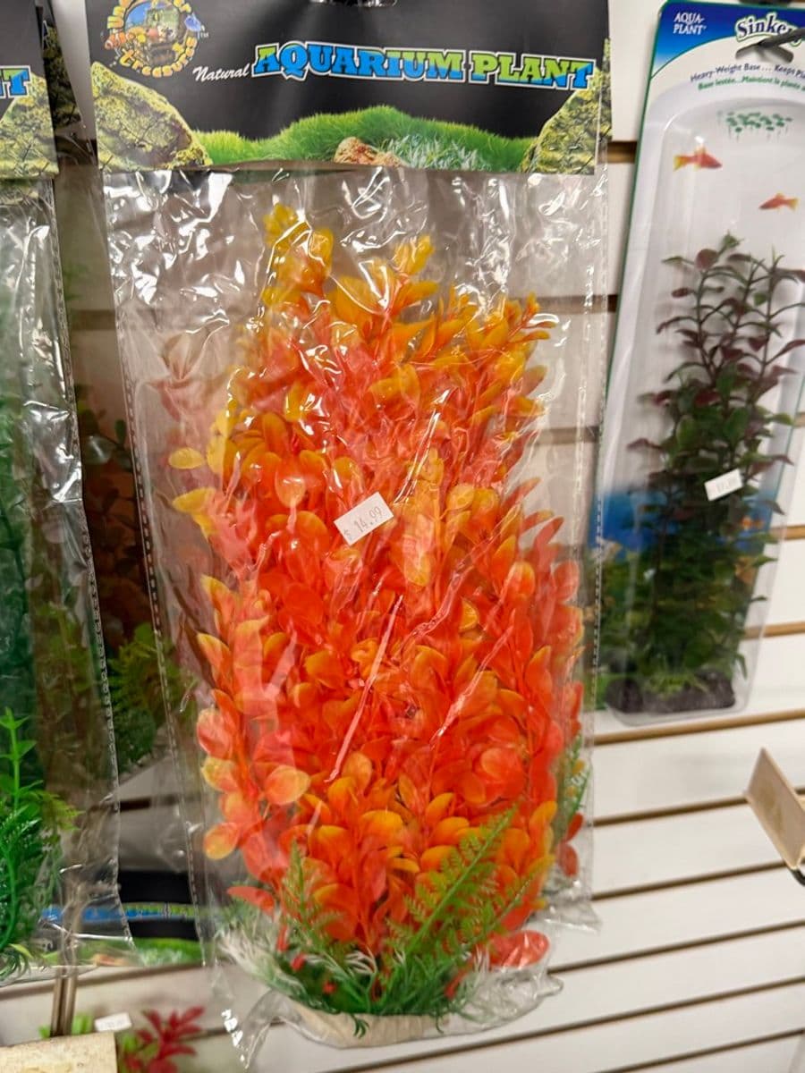 Penn-Plax Natural Aquarium Plant Lg Orange/Red at Sea Cave Inc.