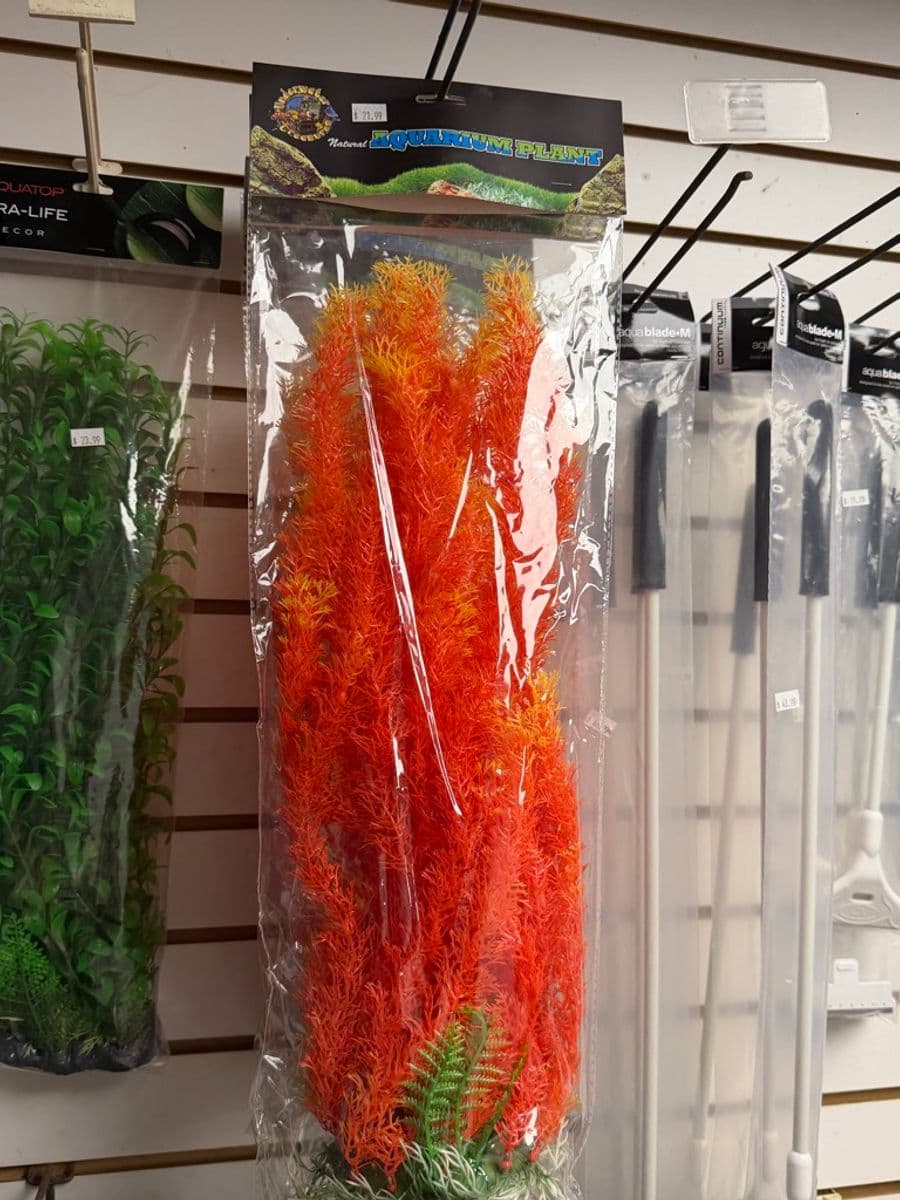 Penn-Plax Artificial Orange Feather Stem Plant at Sea Cave Inc.