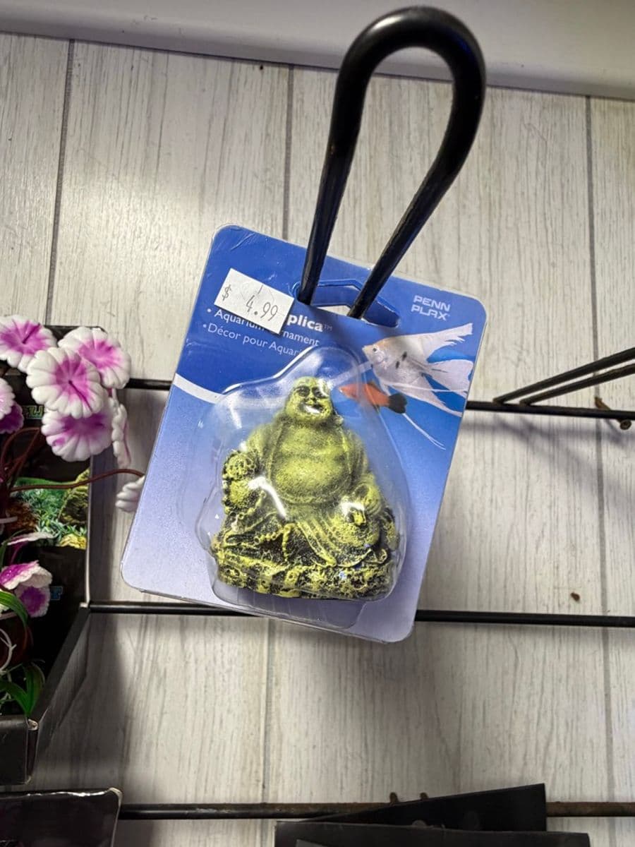 Penn Plax Replica Aquarium Ornament – Buddha statue (resin decor) at Sea Cave Inc.