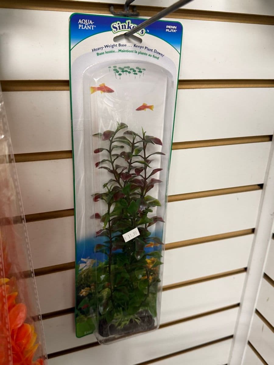 Penn Plax Sinkers Aqua-Plant (Tall Stem) at Sea Cave Inc.