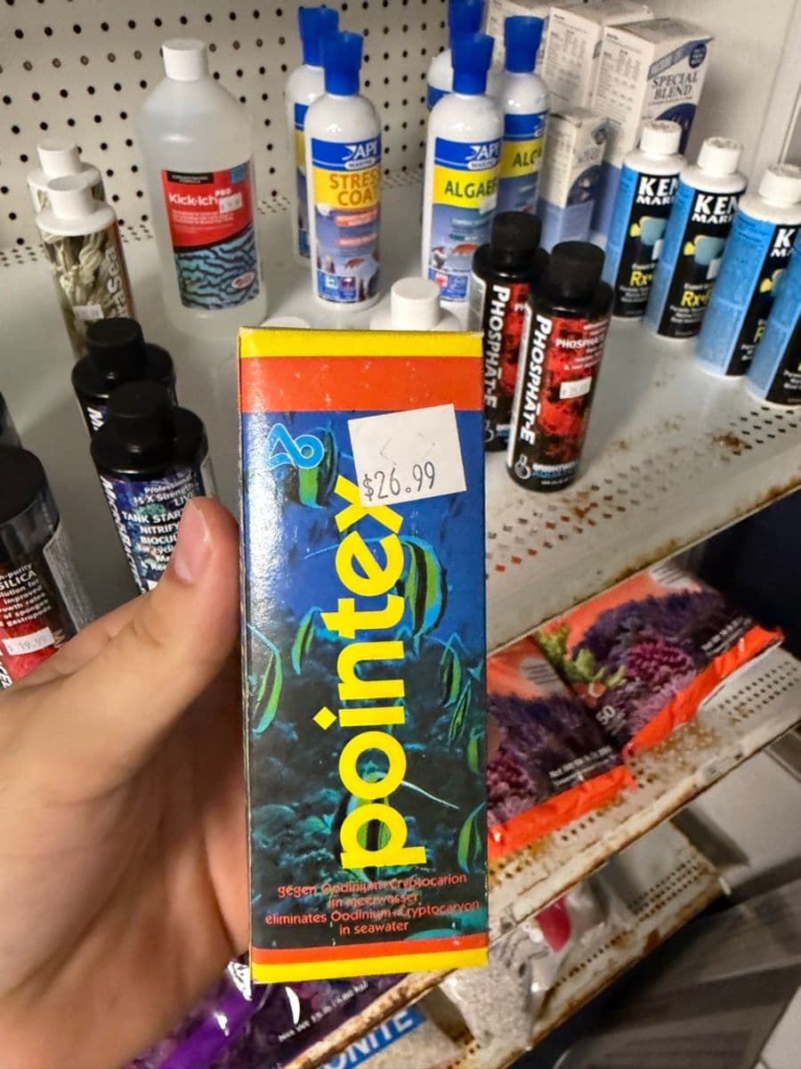 Pointex Oodinium & Cryptocaryon treatment for seawater (marine ich/velvet medication) at Sea Cave Inc.