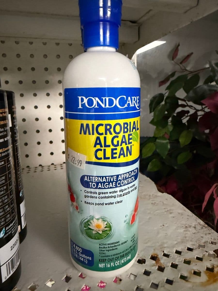 PondCare Microbial Algae Clean 16 fl oz (473 ml) pond algae control treatment at Sea Cave Inc.